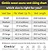 Cimkiz Mens Sauna Vest Sweat Body Shaper Waist Trainer Neoprene Tank Top Shapewear Shirt Workout Suit no Zip Black&Grey XL