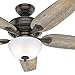 Hunter Fan 54 inch Casual Noble Bronze Indoor Ceiling Fan with Light Kit (Renewed) (Noble Bronze)