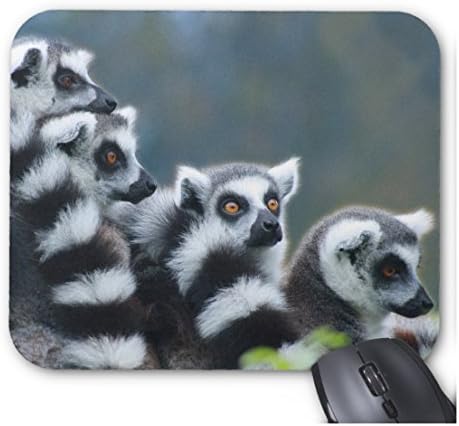 Ring-Tailed Lemur SiblingsMouse Pad Non-Slip Rubber Backing Mousepad Computer Mouse Mat