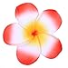 Anleolife Hawaiian Flowers Foam Hair Clips Bridal Barrette Hairpieces Tropical Beach Wedding Plumeria Flower Bridal Orchid Hairclip Hairpin Beauty Accessories 2Large 4 Small 6pcs/lot (mix color 6pcs)