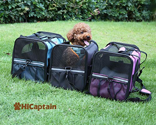 HiCaptain Soft Side Pet Carrier with Removable Fleece Mat, Airline Approve Travel Cat Carrier Perfect for Small Animals (Pink)