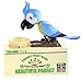 PowerTRC Parrot Coin Bank for Kids, Cute Money Bank for Boys and Girls, Savings Piggy Bank | Fun Gift for Kids and Adults