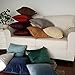 Artcest Set of 2, Cozy Solid Velvet Throw Pillow Case Decorative Couch Cushion Cover Soft Sofa Euro Sham with Zipper Hidden, 18