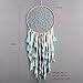Dremisland Dream Catcher Green Tassel Handmade Bohemian Dream Catchers Wall Hanging Home Decoration Ornament Decor Ornament Craft Gift (Boho Tassel)