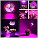 Create Bright Led Grow Light Bulb, 60W Plant Light Bulb Full Spectrum Led Grow Bulb E26 Grow Plant Light for Indoor Plants,Hydroponics Greenhouse Organic,Pack of 4