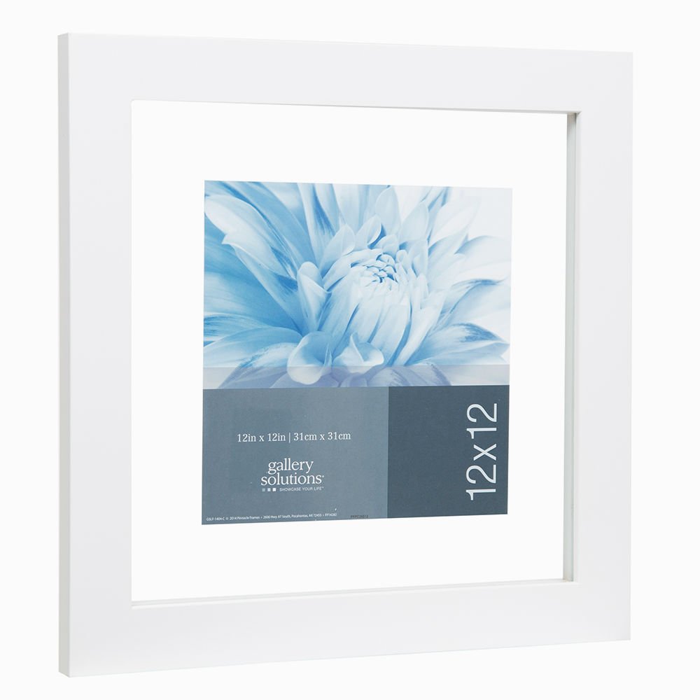 Gallery Solutions 12x12 White Float Frame For Floating Display of 10x10 Image LAVORIST