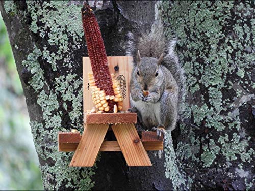 Outdoors Squirrel & Chipmunk Feeder | Corn on the Cob Picnic Table Holder | Funny & Entertaining | Made From Pine Wood for Outside Use & Great Aging | Simple Tree Installation Includes Screws
