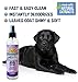 Bodhi Dog Waterless Shampoo - Natural Dry Shampoo for Dogs & Cats - Neutralizes Pet Odor - No Rinse Required - Made of Natural Extracts - Safe for Sensitive Skin - Made in USA - Lavender (8 Fl Oz)