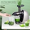 AMZCHEF Juicer Machines - Cold Press Slow Juicer - Masticating Juicer for Whole Fruits and Vegetables - Delicate Chew No…