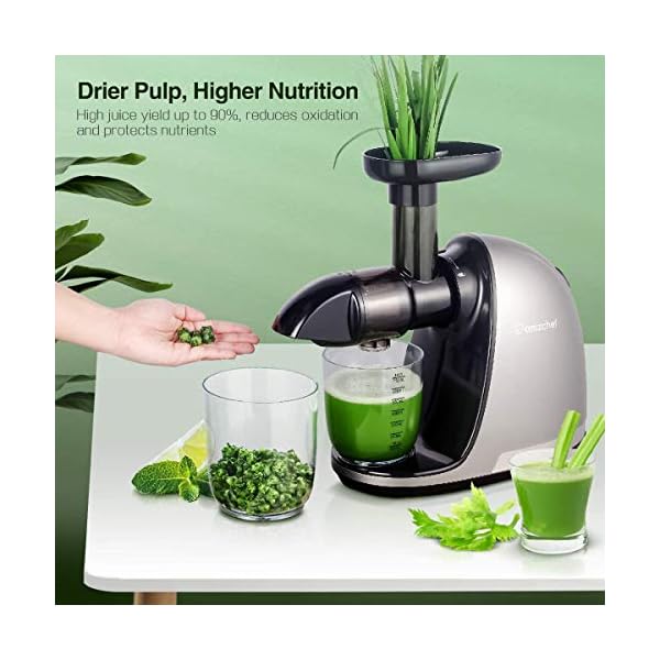 AMZCHEF Juicer Machines - Cold Press Slow Juicer - Masticating Juicer for Whole Fruits and Vegetables - Delicate Chew No…