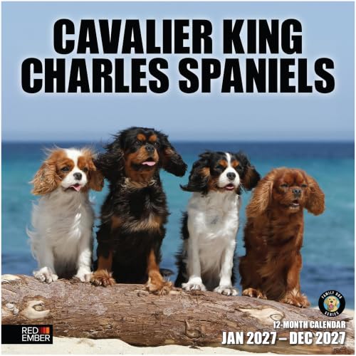 Cavalier King Charles Spaniels 2027 Calendar