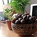 Cocoboo 100% Organic Soap Nuts, USDA Organic Certified, Handpicked & Sun Dried, Laundry Soap Hypoallergenic, Chemical Free, 240+ Loads, Include wash Bag, 1 Pound