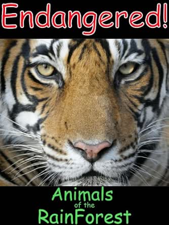 Endangered Animals Of The Rain Forest A Picture Book For Ages 4 6 Endangered Animals Of The World 1 Hansen Ken Amazon Com