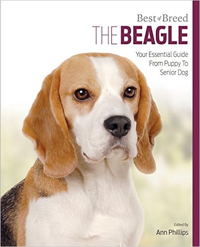 Beagle: Best of Breed �y�[�p�[�o�b�N  - 2016/11/20