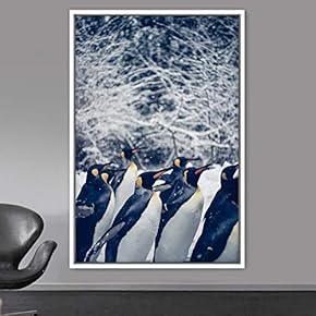 signwin Framed Canvas Wall Art Group of Birds...