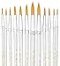 Paint Brushes, StarVast 12pcs Paint Brush Set | Acylic Painting Brushes for Watercolor, Oil, Acrylic, Gouache, Plein Air Crafts, Miniatures, Models, Rock, Art, Hobbies, Nail, Face Painting