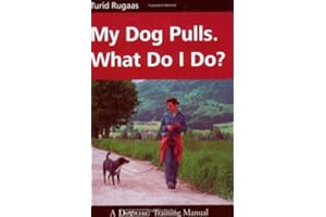 My Dog Pulls - What Do I Do?