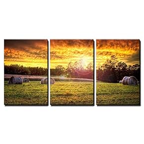 Beautiful Sunset with Hay Rounds Wall Decor x3 Panels