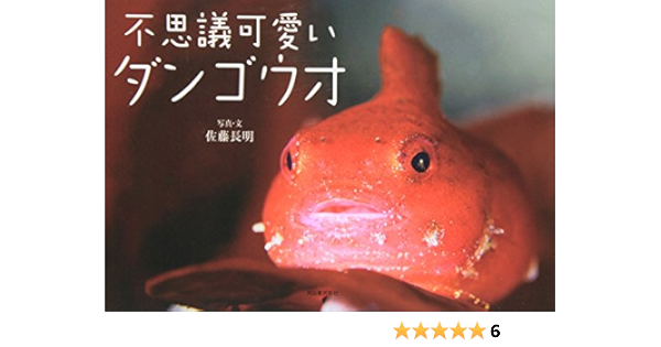 Cute Wonder Lumpfish 11 Isbn Japanese Import Amazon Com Books