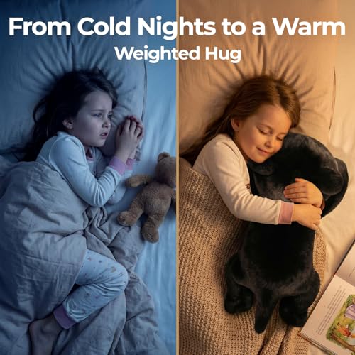 Mewaii Weighted Teddy Black Cat Plush 2.3kg, Dual Hot-Cold and Adjustable Weight Stuffed Animal for Comfort & Cozy, Cuddly Real Hug Cat Plushie Gifts for Women & Girls & Kids, 50cm(23inch)