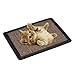 Furniture Protector Bed Mattess Table Chair Sofa Legs Anti-Scratching Mat Sisal Cat Scratch Boardthumb 2