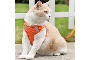 Mesh Dog Harness Vest, Breathable Summer Pet Harness with Reflective Nylon Leash Soft Chest Strap for Dogs & Cats