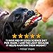 Hill's Science Diet Dry Dog Food, Adult, Large Breed, Light, Chicken Meal & Barley Recipe, 30 LB Bag