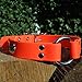 GoTags Sporting Dog Collar with Personalized Nameplate in Stainless Steel, Waterproof Orange Hunting Dog Collar Resistant to Dirt, Oils and Moisture, Odor-Proofthumb 4