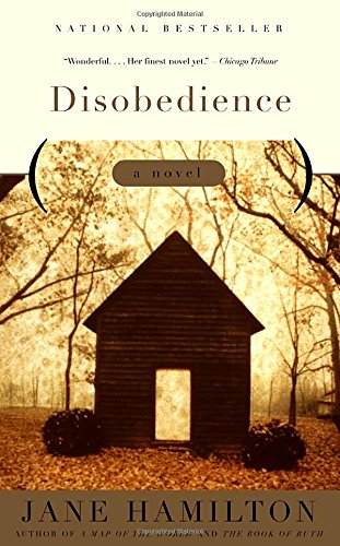Disobedience: A Novel