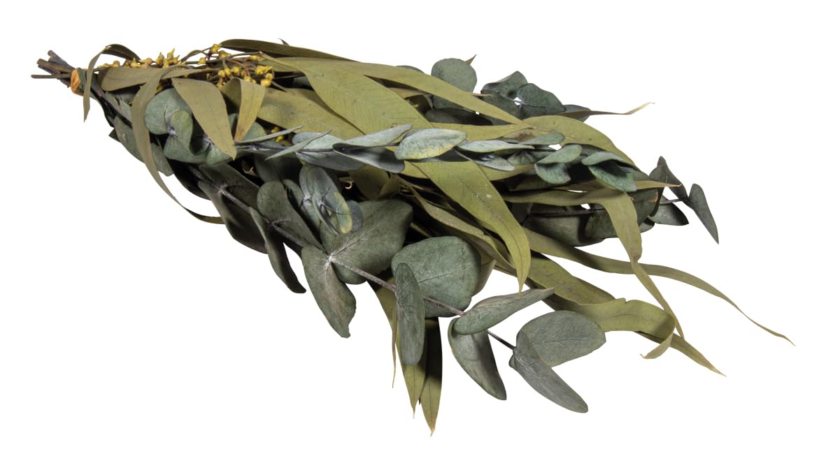 Rayher Dried Eucalyptus Stems for Crafts and Home Décor, Natural Dried Eucalyptus Leaves , Dried Eucalyptus Bouquet for Shower, 30-35cm, 85493000