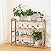 Ollieroo Bamboo 4-Tier Shoe Rack 10-13 Pairs Entryway Shoe Shelf Storage Organizer