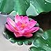 Sealike 4 Pcs Artificial Floating Foam Lotus Flower Pond Decor Water Lily with Stylus