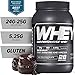 CELLUCOR COR-Performance Protein Powder Molten Chocolate | 100% Whey Isolate | Gluten Free + Low Fat Post Workout Muscle Growth Drink for Men & Women | 28 Servings