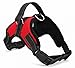 Copatchy No Pull Reflective Adjustable Dog Harness With Handle- Comfortable Soft All Weather Mesh, Easy On Puppy Harness For Small Medium and Large Dogs (Red) Medium
