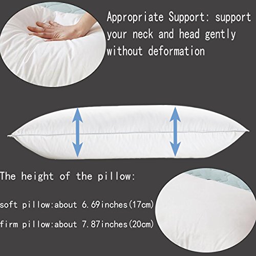 Feather and Down Bed Pillow,King Size 2 Pack,Firm White Goose Feather and Down Pillow,Cotton Cover with Fashionable Piping by AIKOFUL