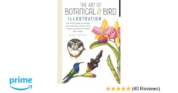 The Art !   Of Botanical Bird Illustration An Artist S Guide To - the art !   of botanical bird illustration an artist s guide to drawing and illustrating realistic flora fauna and botanical scenes from nature mindy