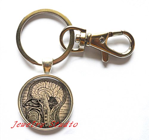 Charming Fashion Keychain Anatomical Brain Keychain Human Brain