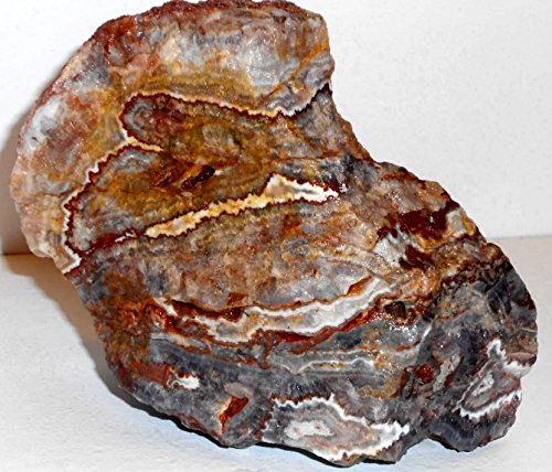 Rock Tumbler Gem Refill Kit Mexican Amethyst Lace Agate Rough 8 oz by Mexico Nature