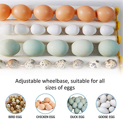 Motorbrüter Hühner Brutapparat, Digitale Eier Brutschrank, Temperatur Und Feuchtigkeitsregulierung Digitale Anzeige Für… – Bild 7