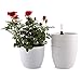 T4U 6 Inch Plastic Self Watering Planter with Water Level Indicator White Set of 4, Modern Decorative Planter Pot for All House Plants, Flowers, Herbs, African Violets, Succulents