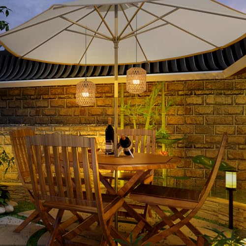 Rayofly 2 Pcs Indoor Rechargeable Hanging Lamp, Boho Hanging Lamp with Battery, Rattan Hanging Lamp without Power Supply, Outdoor Garden Lights with Bulb & Remote Control
