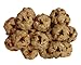 Hill's Science Diet Crunchy Fruity Snacks with Cranberries & Oatmeal Dog Treats, 8.8-Ounce