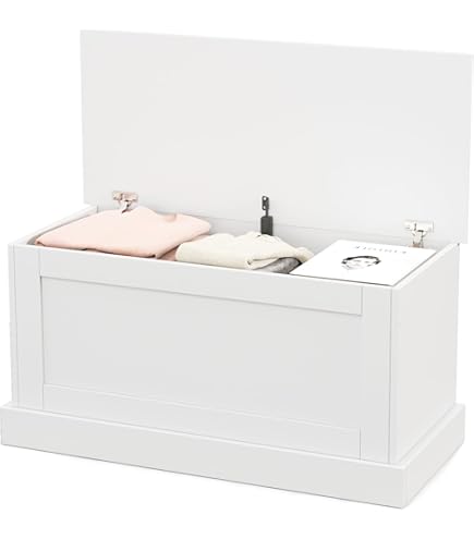 Amazon.com: ZenStyle Storage Chest, Wood Storage Bench with 2
