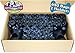 Matty's Pet Stop 680 Count (34 Rolls) Unscented Dog Waste/Poop Bags with 2 Dispensers - Black Paw Print Design