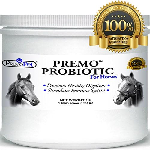 HORSE PROBIOTICS - Best Natural Choice - Made in USA - Plus Prebiotics - Tasteless - No Fillers - Non GMO - GMP Certified - Veterinarian Recommended