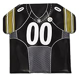 Pittsburgh Steelers Bottle Freezer Jersey