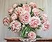 Morgofun DIY Paint by Number Kits, Paint by Numbers for Adults with Canvas Brush, Pink Peony 16x20inch