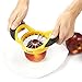 Chefaith 16-Blade Apple Slicer, Corer, Cutter, Wedger, Divider for [up to 3.5 Inch Apples] - 2 Free Orange Peelers as Bonus - Ultra-Sharp Stainless Steel Blade with Ergonomic Anti-Slip Silicone Handle