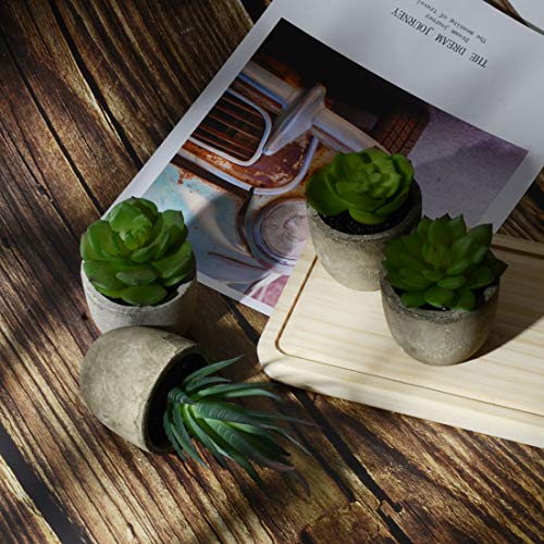 image for HappyHapi 6 Pcs Assorted Potted Artificial Succulent Plants Decorative