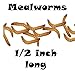2000ct Live Mealworms, Pet Food for Reptile, Birds, and Fish, Model: , Home/Garden & Outdoor Store